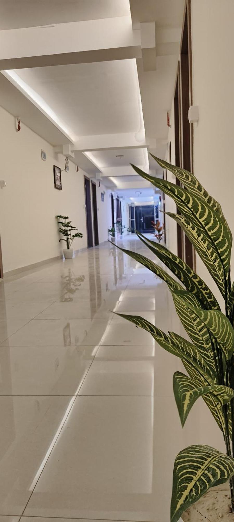 Hotel Royal Night Daman Kültér fotó